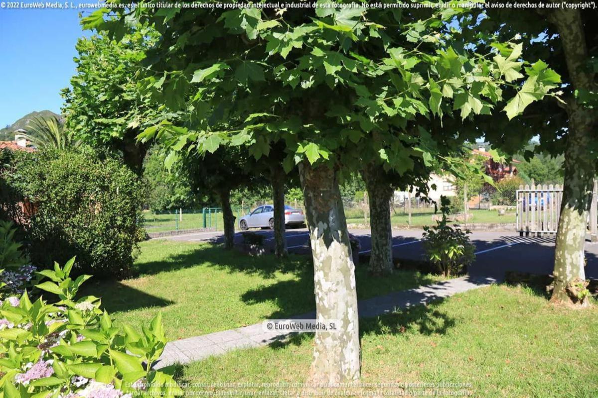 Apartament El Puentin Del Sella Con Wifi Y Parking Gratuito Onís Zewnętrze zdjęcie